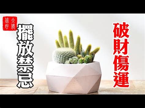 門口可放仙人掌嗎